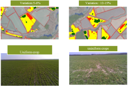 Quality comparison of two fields