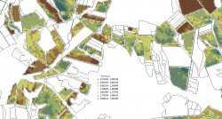 Distribution of humus in the soil based on the analysis of satellite images