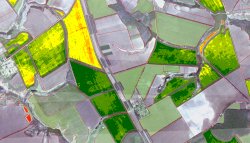 Comparison of one-crop fields