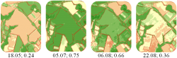 MONITORING THE CONDITION OF CROPS IN TIME
